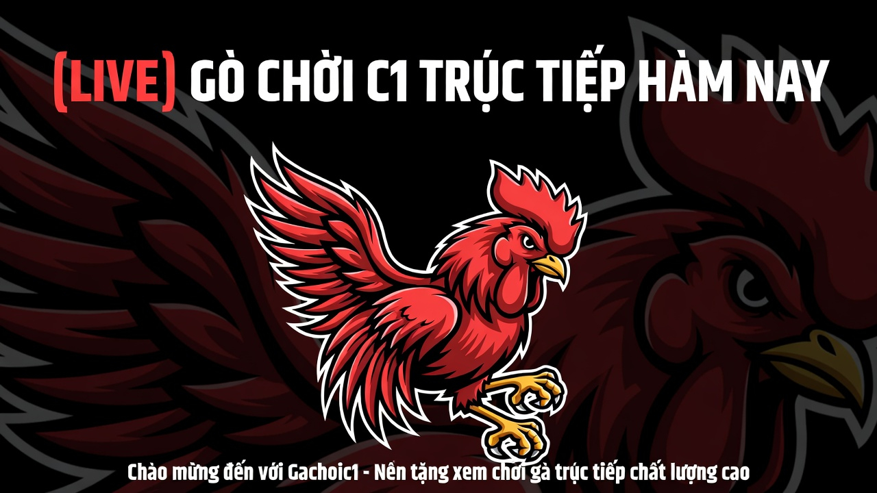 Đá Gà Chọi C1